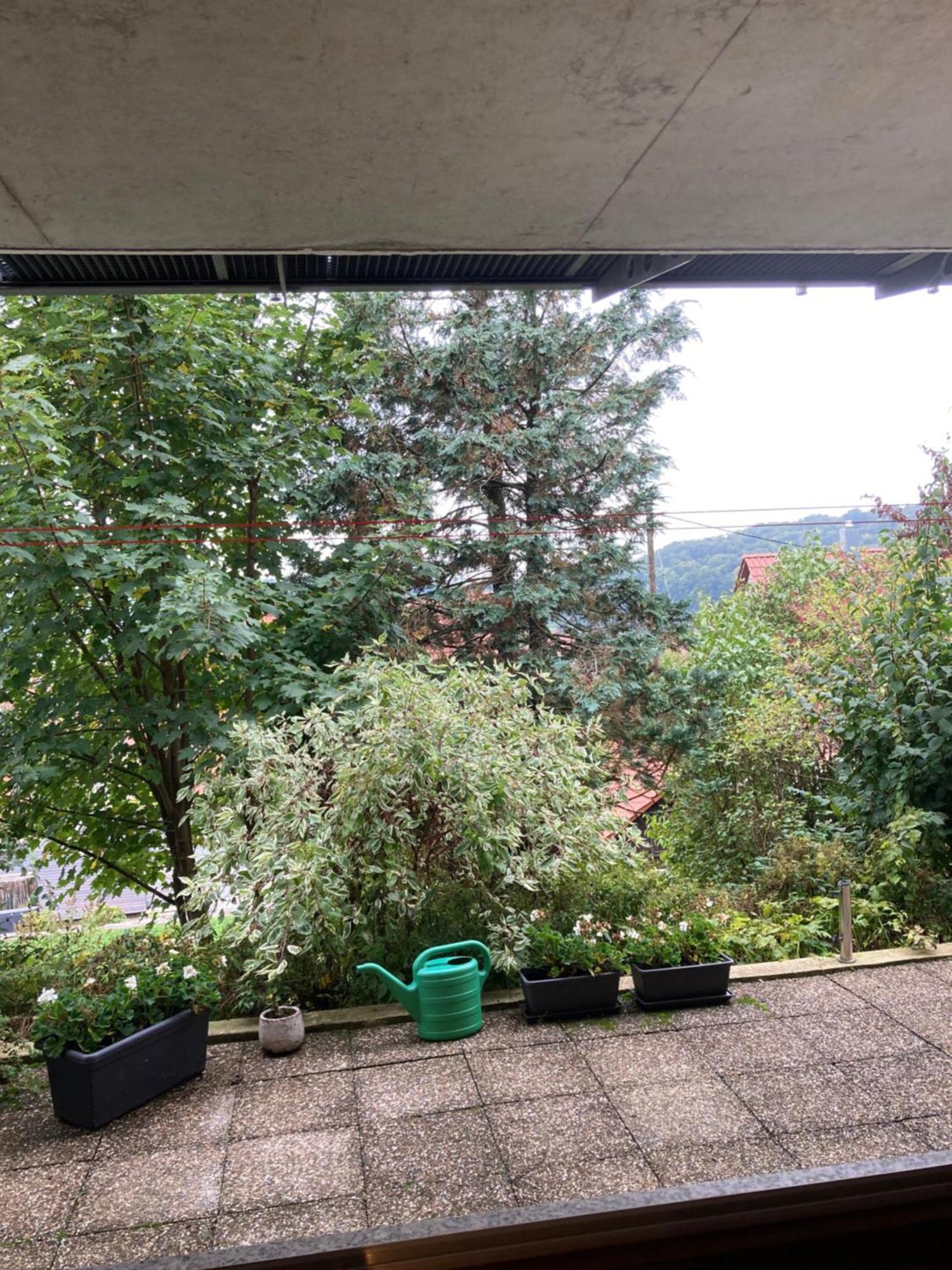 Lichtdurchflutete Ferienwohnung Sankt Johann  Exterior foto